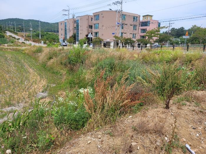 충청남도 서산시 대산읍 대산리 1288-2 전 경매 사진 6