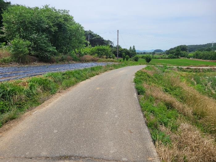 충청남도 서산시 대산읍 대산리 1288-2 전 경매 사진 9