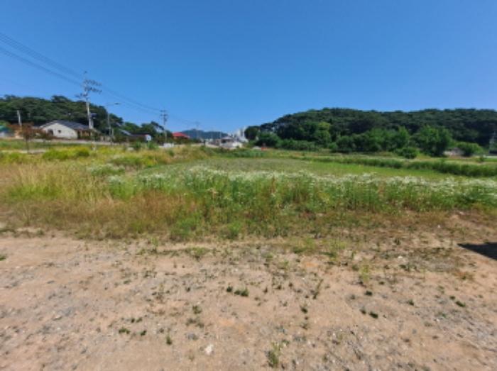 충청남도 서산시 대산읍 대산리 1300-2 전 경매 사진 11