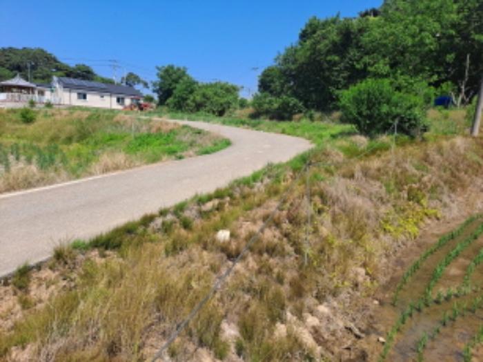 충청남도 서산시 대산읍 대산리 1300-2 전 경매 사진 16