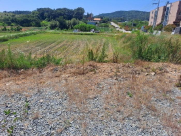 충청남도 서산시 대산읍 대산리 1300-2 전 경매 사진 19