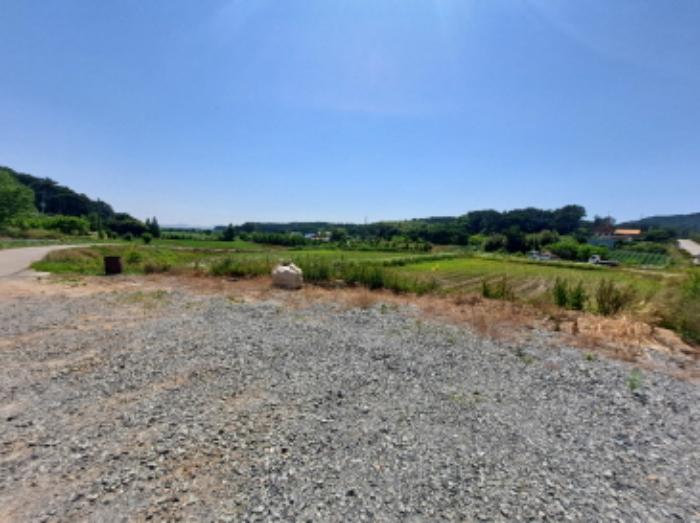 충청남도 서산시 대산읍 대산리 1300-2 전 경매 사진 23