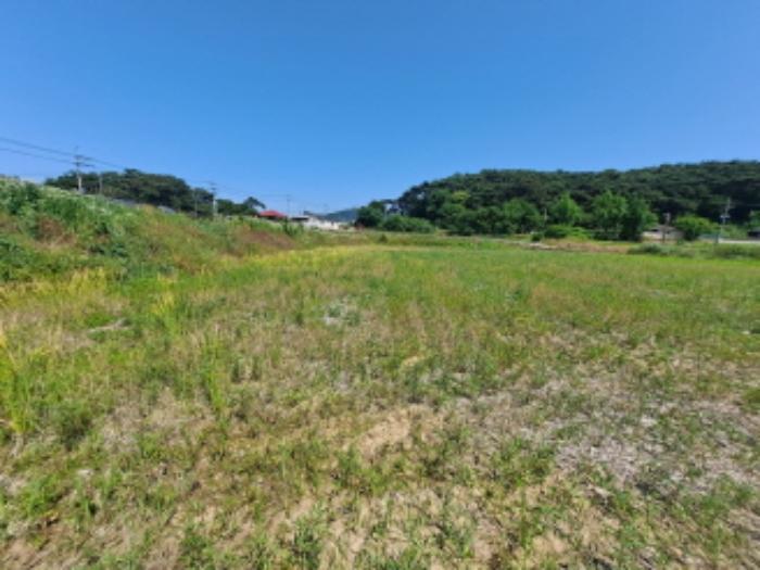 충청남도 서산시 대산읍 대산리 1300-2 전 경매 사진 24