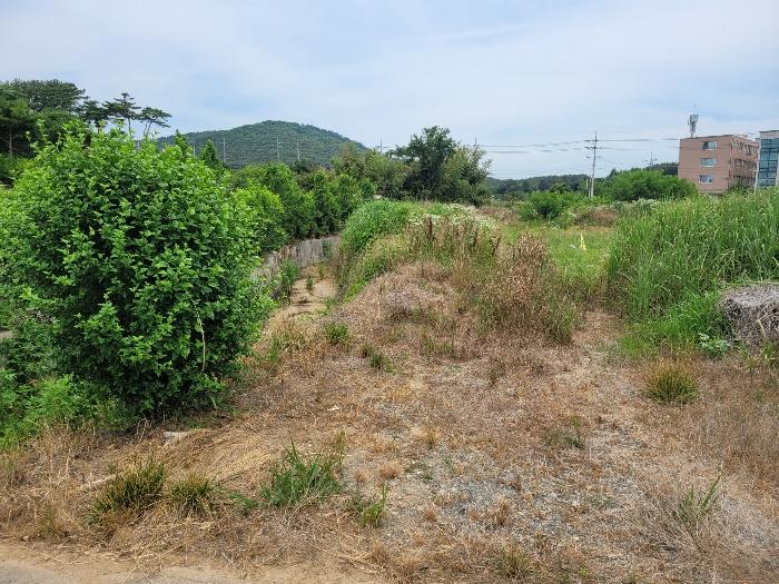 충청남도 서산시 대산읍 대산리 1300-2 전 경매 사진 3