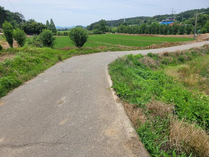 충청남도 서산시 대산읍 대산리 1300-2 전 경매 사진 7
