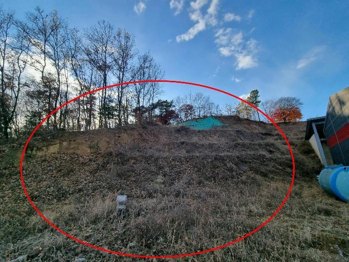 충청북도 괴산군 청안면 금신리 산66 임야 경매 사진 5