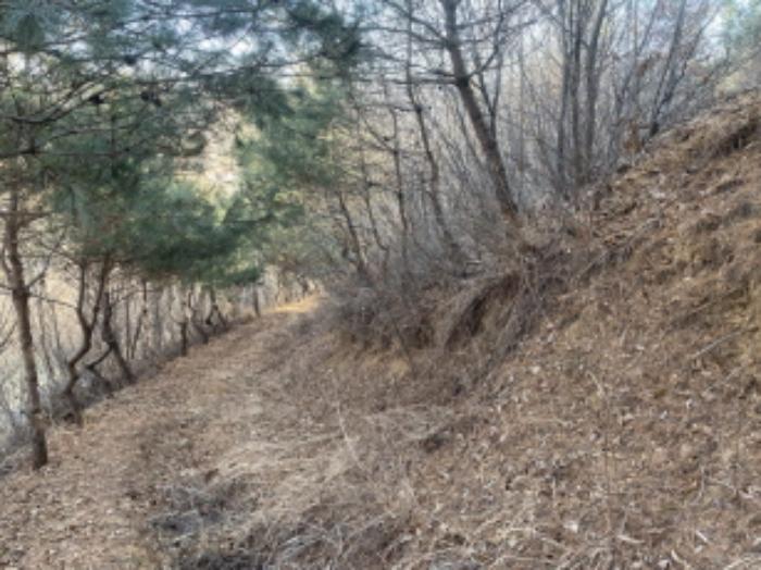 충청남도 금산군 진산면 만악리 534-3 공장 경매 사진 16