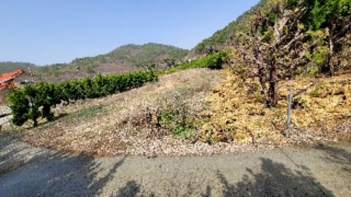 경상남도 함안군 대산면 부목리 산85-1 임야 경매 사진 10