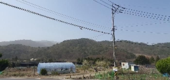 경상남도 함안군 대산면 부목리 산85-1 임야 경매 사진 12
