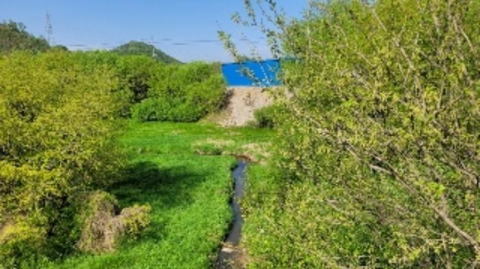 경상남도 함안군 대산면 부목리 산85-1 임야 경매 사진 15