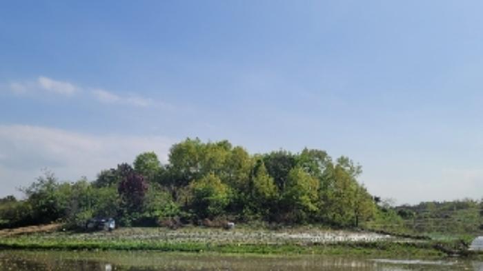 경상남도 함안군 대산면 부목리 산85-1 임야 경매 사진 16