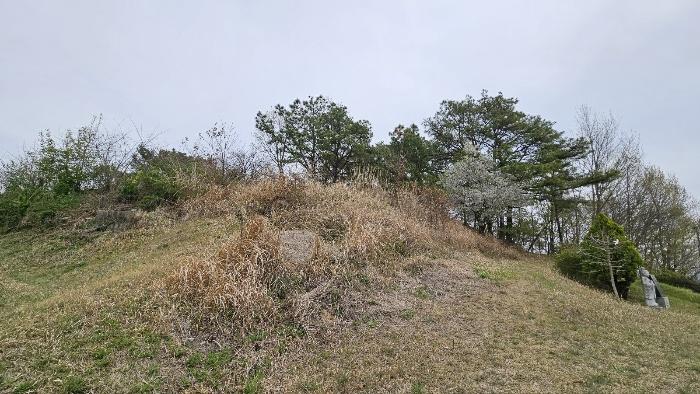 경상남도 함안군 대산면 부목리 산85-1 임야 경매 사진 3