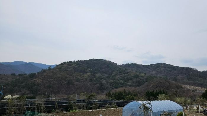 경상남도 함안군 대산면 부목리 산85-1 임야 경매 사진 5