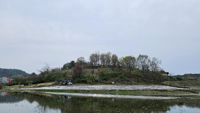 경상남도 함안군 대산면 부목리 산85-1 임야 경매 사진 6