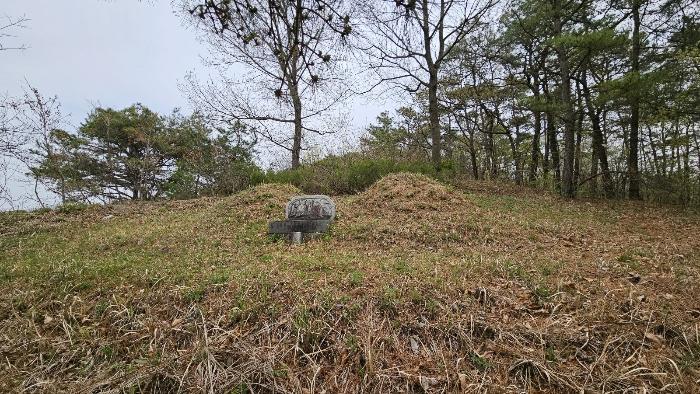 경상남도 함안군 대산면 부목리 산85-1 임야 경매 사진 7