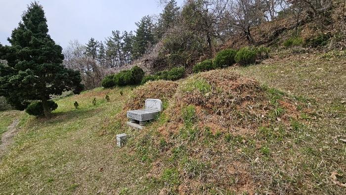 경상남도 함안군 대산면 부목리 산85-1 임야 경매 사진 8