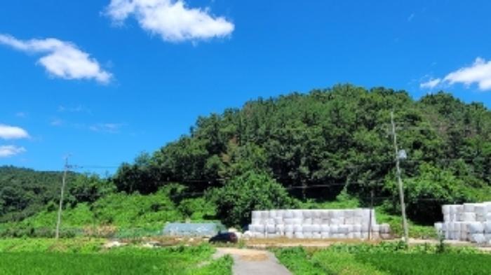 경상남도 함안군 대산면 부목리 592-1 임야 경매 사진 4