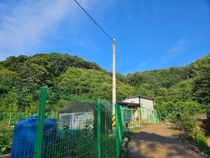 충청남도 논산시 양촌면 산직리 83-2 임야 경매 사진 2