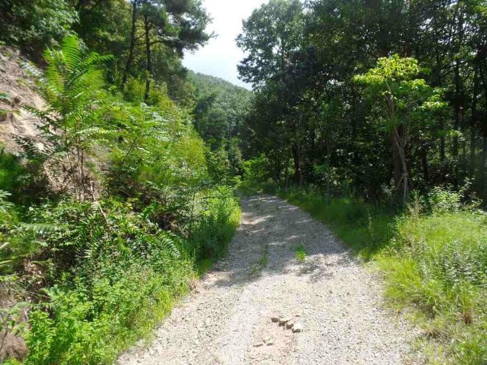 충청남도 논산시 양촌면 산직리 83-2 임야 경매 사진 28