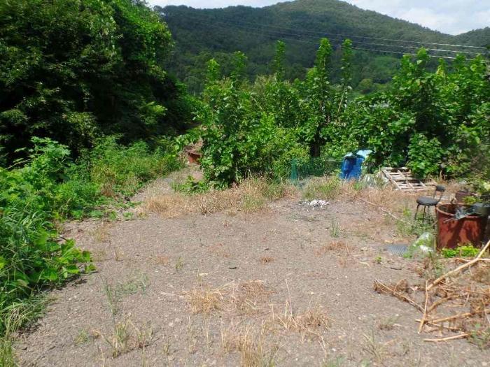 충청남도 논산시 양촌면 산직리 83-2 임야 경매 사진 29