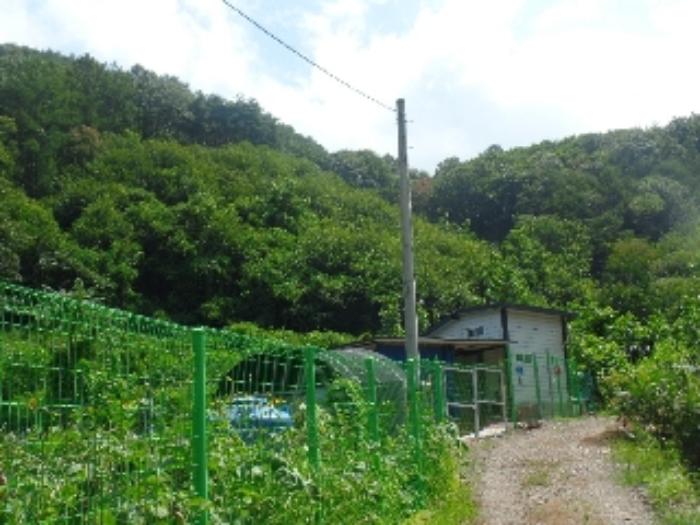 충청남도 논산시 양촌면 산직리 83-2 임야 경매 사진 8