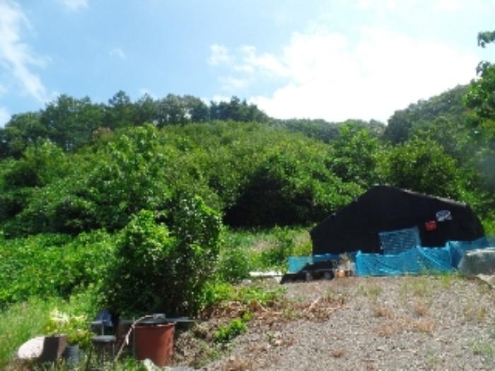 충청남도 논산시 양촌면 산직리 83-2 임야 경매 사진 9