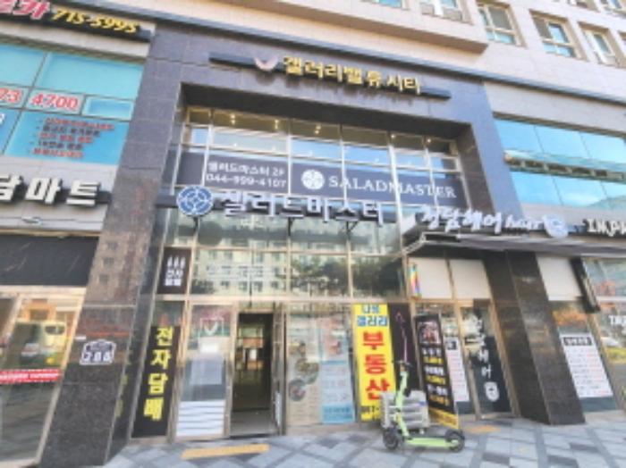 세종특별자치시 한누리대로 288, 4층424호 (나성동,세종갤러리밸류시티)구) 세종특별자치시 나성동 764 도시형생활주택 경매 사진 13