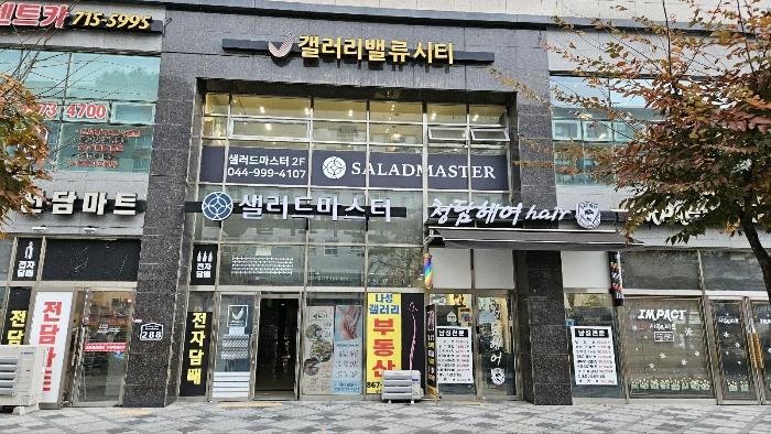 세종특별자치시 한누리대로 288, 4층424호 (나성동,세종갤러리밸류시티)구) 세종특별자치시 나성동 764 도시형생활주택 경매 사진 9