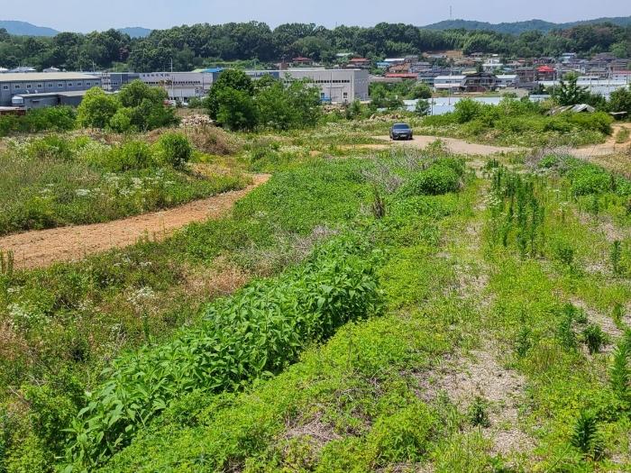 경상북도 성주군 선남면 소학리 404 전 경매 사진 2