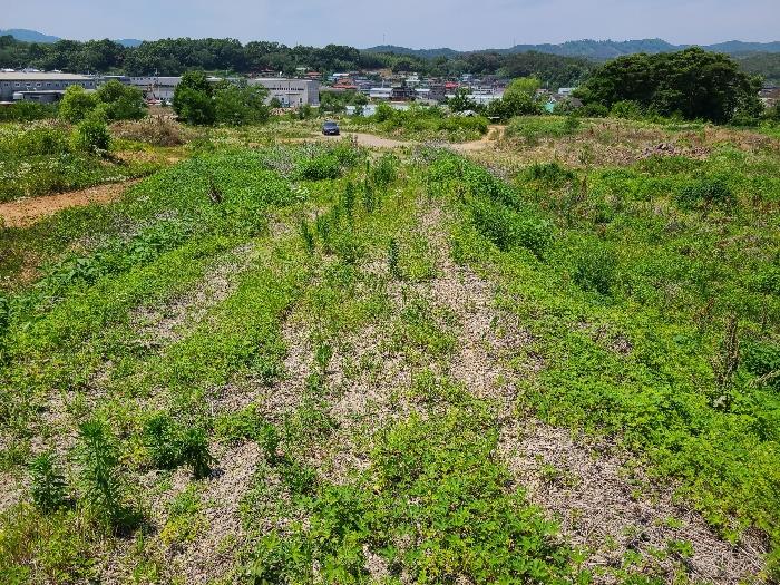 경상북도 성주군 선남면 소학리 404 전 경매 사진 8
