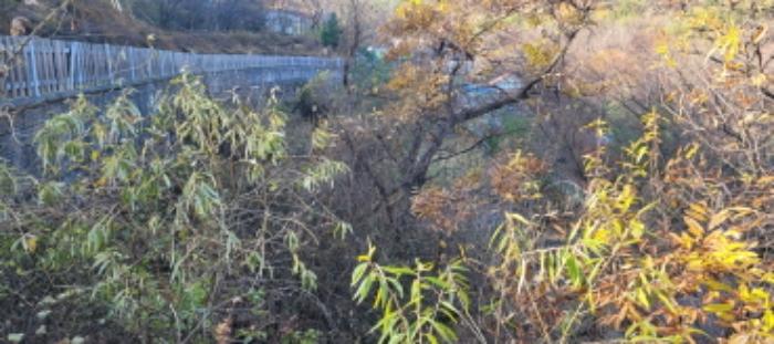 경상북도 청도군 각북면 오산리 1175-3 임야 경매 사진 7