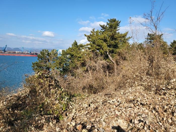 경상남도 하동군 금남면 대도리 2 임야 경매 사진 1