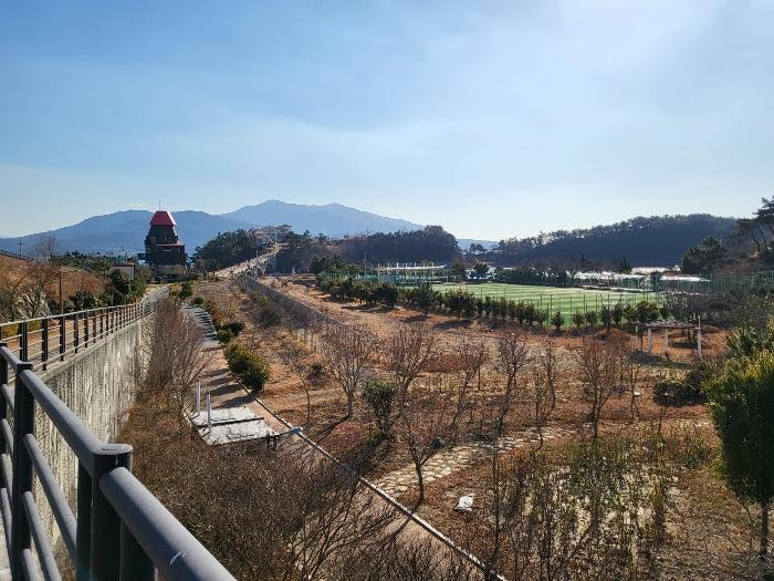 경상남도 하동군 금남면 대도리 2 임야 경매 사진 11