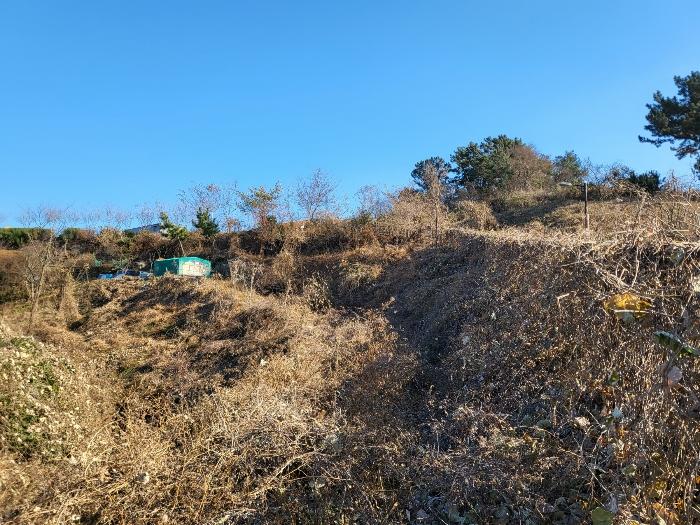 경상남도 하동군 금남면 대도리 2 임야 경매 사진 16