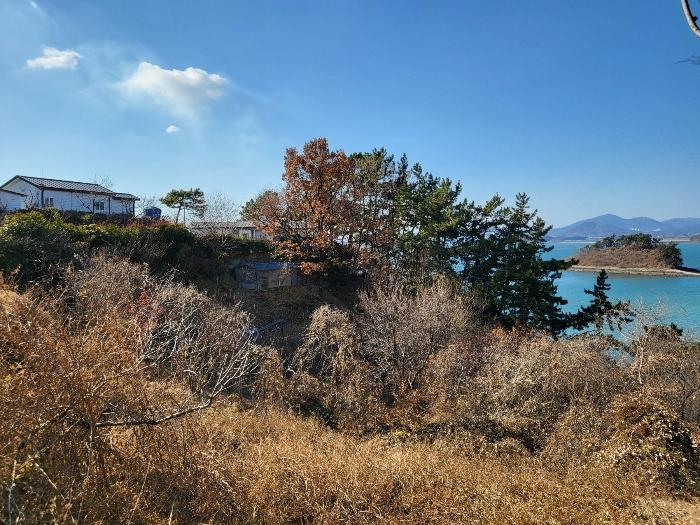 경상남도 하동군 금남면 대도리 2 임야 경매 사진 18