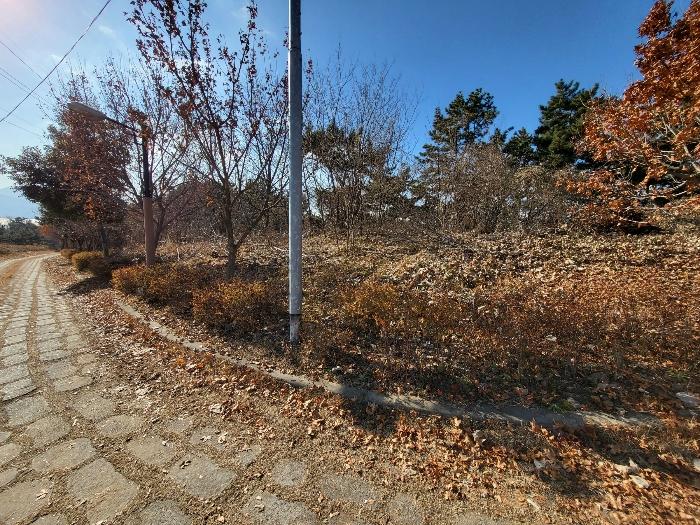 경상남도 하동군 금남면 대도리 2 임야 경매 사진 5