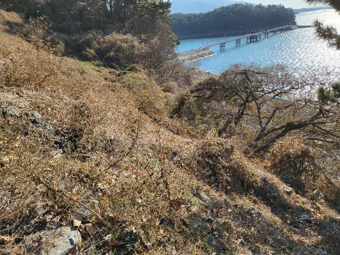 경상남도 하동군 금남면 대도리 2 임야 경매 사진 8