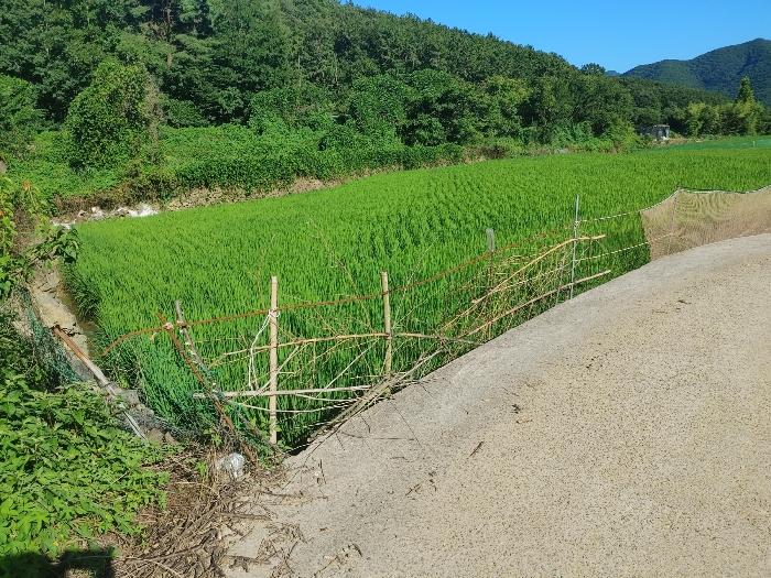 경상남도 거제시 연초면 연사리 450 답 경매 사진 1