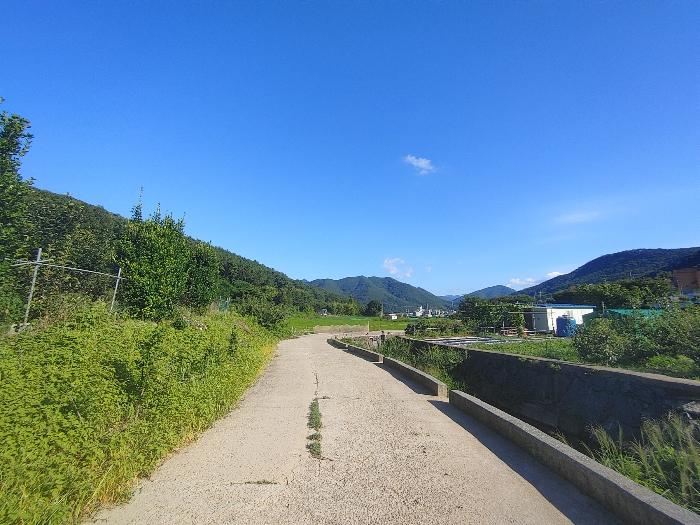 경상남도 거제시 연초면 연사리 450 답 경매 사진 2