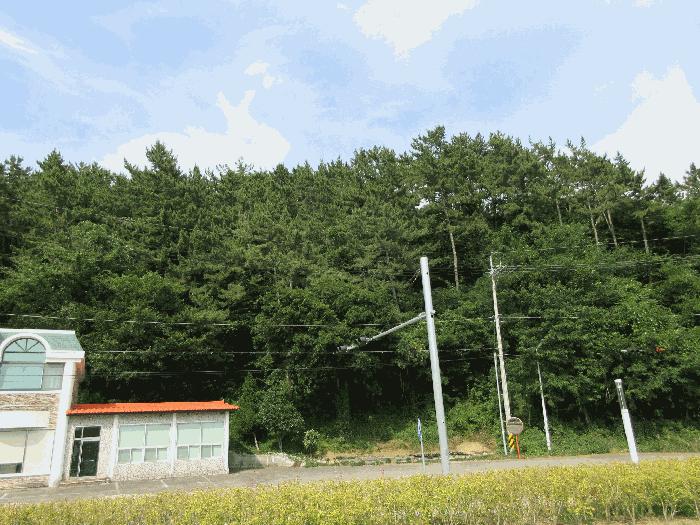 경상남도 고성군 고성읍 수남리 50-1 주택 경매 사진 9
