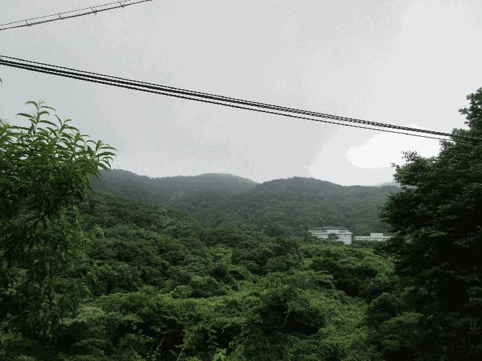 경상남도 고성군 고성읍 신월리 407-15 답 경매 사진 4
