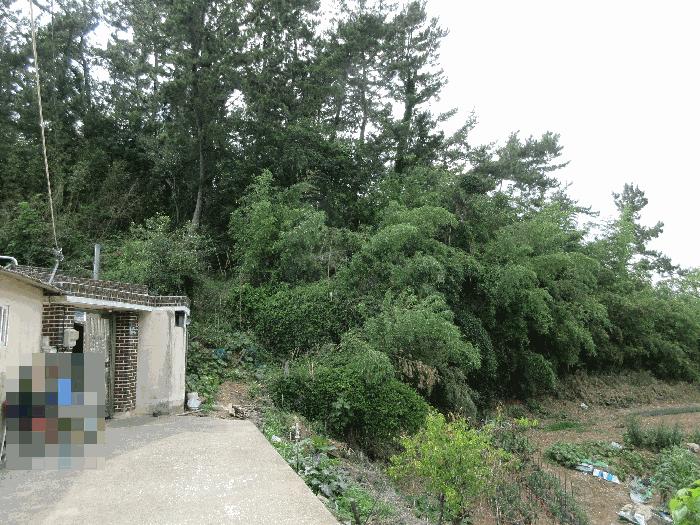 경상남도 고성군 고성읍 신월리 산9 임야 경매 사진 12