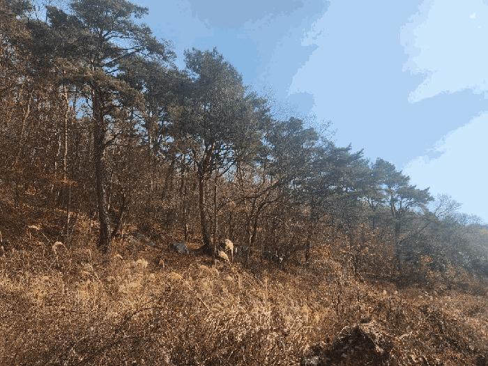 경상남도 거제시 연초면 송정리 486 전 경매 사진 1