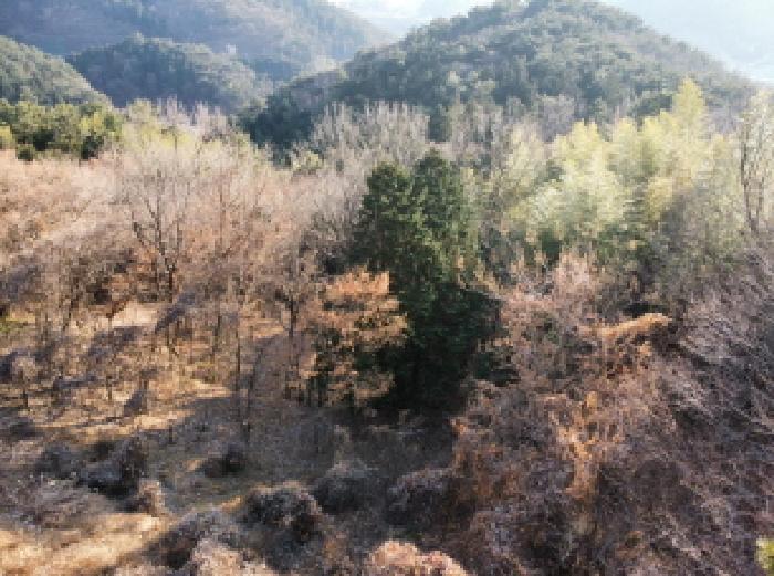 경상남도 거제시 연초면 송정리 486 전 경매 사진 10
