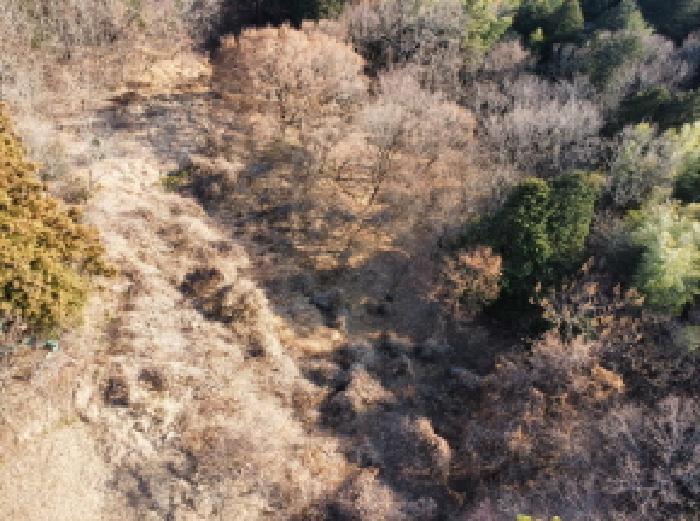 경상남도 거제시 연초면 송정리 486 전 경매 사진 11