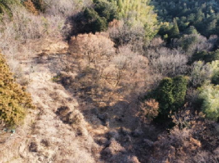 경상남도 거제시 연초면 송정리 486 전 경매 사진 12