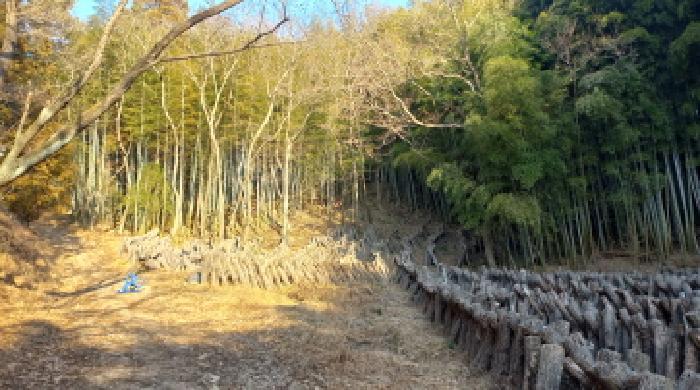 경상남도 거제시 연초면 송정리 486 전 경매 사진 14