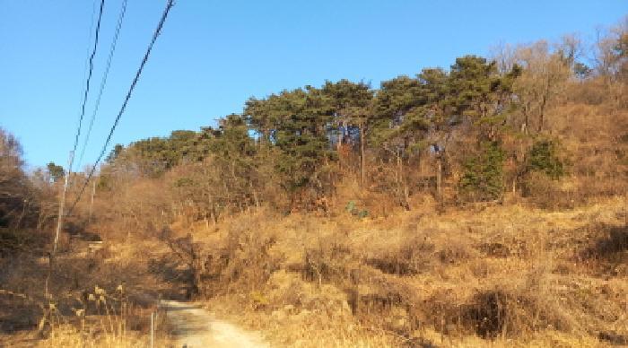 경상남도 거제시 연초면 송정리 486 전 경매 사진 20