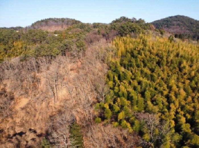경상남도 거제시 연초면 송정리 486 전 경매 사진 21