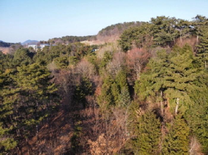 경상남도 거제시 연초면 송정리 486 전 경매 사진 27